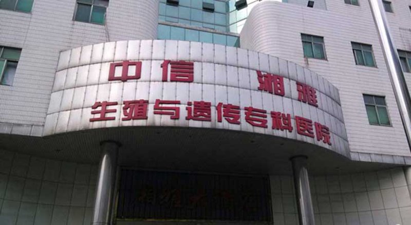 试管婴儿：解密背后的秘密与真相